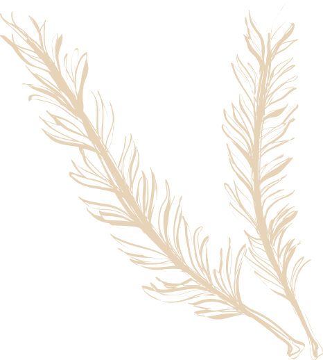 noun-rosemary-1979810-2